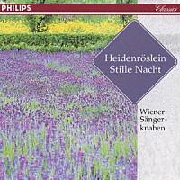 ウィーン少年合唱団「 ウィ－ン少年合唱団　世界をめぐる」