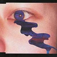 ＴＨＥ　ＢＡＣＫ　ＨＯＲＮ「 サニー」