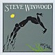スティーヴ・ウィンウッド「アーク・オブ・ア・ダイバー」