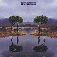 ブルース・ディッキンソン「 スカンクワークス」