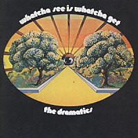 ザ・ドラマティックス「 ホワッチャ・シー・イズ・ホワッチャ・ゲット＋３」