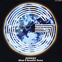 ゴダイゴ「 ホワット・ア・ビューティフル・ネーム」