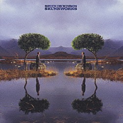 ブルース・ディッキンソン「スカンクワークス」