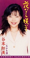 谷本知美「 花なら咲いて｜わかれ酒」