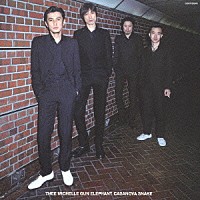 ミッシェル・ガン・エレファント「 カサノバ・スネイク」