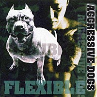 ＡＧＧＲＥＳＳＩＶＥ　ＤＯＧＳ「 ＦＬＥＸＩＢＬＥ」