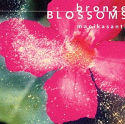 マニカサンティ 細野晴臣「Ｂｒｏｎｚｅ　Ｂｌｏｓｓｏｍｓ～ブロンズの開花」