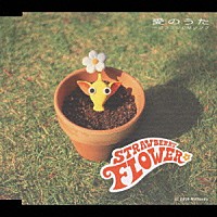 ストロベリー・フラワー「 愛のうた」