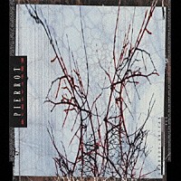 ＰＩＥＲＲＯＴ「 神経がワレル暑い夜」