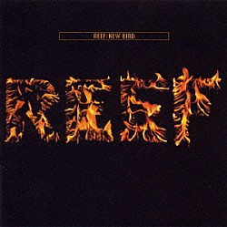 リーフ「ニュー・バード」