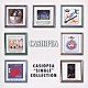 ＣＡＳＩＯＰＥＡ「ＣＡＳＩＯＰＥＡ“ＳＩＮＧＬＥ”ＣＯＬＬＥＣＴＩＯＮ」