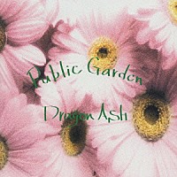 Ｄｒａｇｏｎ　Ａｓｈ「 Ｐｕｂｌｉｃ　Ｇａｒｄｅｎ」