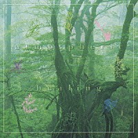 ＤＲＥＡＭ　ＤＯＬＰＨＩＮ「 ＡＴＭＯＳＰＨＥＲＩＣ　ＨＥＡＬＩＮＧ」