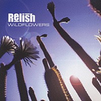 レリッシュ「 ワイルドフラワーズ」