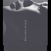 元ちとせ 「ワダツミの木」