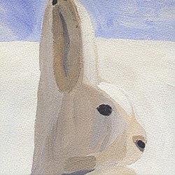 Ｐｏｌａｒｉｓ「Ｐｏｌａｒｉｓ」