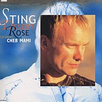 スティング「 デザート・ローズ／サウザンド・イヤーズ」