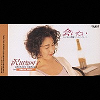 沢田知可子「 会いたい」