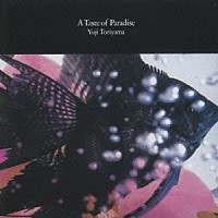 鳥山雄司「 Ａ　Ｔａｓｔｅ　Ｏｆ　Ｐａｒａｄｉｓｅ」