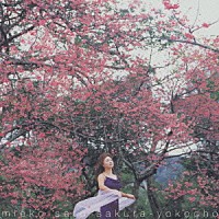 佐藤美枝子「 さくら横ちょう」