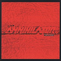 アナイアレイター「 リメインズ」