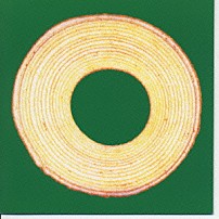 ↑ＴＨＥ　ＨＩＧＨ－ＬＯＷＳ↓ 「バームクーヘン」