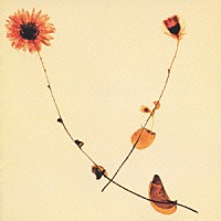 川村結花「 エチュード～春盤～」