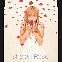 ｓｈｅｌａ「 Ｒｏｓｅ」