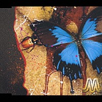 ＭＯＯＭＩＮ「 禁断の森」