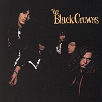 ザ・ブラック・クロウズ「 シェイク・ユア・マネー・メイカー」