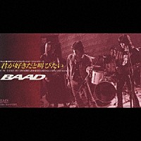 ｂａａｄ 君が好きだと叫びたい ｔａｋｅ ｍｙ ｄｅｓｉｒｅ Zadl 1024 Shopping Billboard Japan