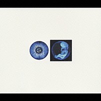 ＰＩＥＲＲＯＴ 「ＨＥＡＶＥＮ　Ｔｈｅ　Ｃｕｓｔｏｍｉｚｅｄ　Ｌａｎｄｓｃａｐｅ」