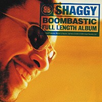 シャギー「 ブンバスティック」