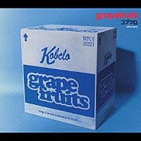 コブクロ「 ｇｒａｐｅｆｒｕｉｔｓ」
