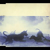 スピッツ「 水色の街」