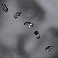 ピーター・ガブリエル「 ＵＰ」