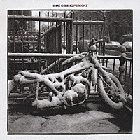 ＰＥＲＳＯＮＺ「 ホーム　カミング」