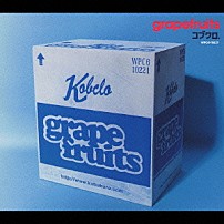 コブクロ 「ｇｒａｐｅｆｒｕｉｔｓ」