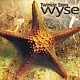 ｗｙｓｅ「Ｔｗｉｎｋｌｅ　Ｓｔａｒｓ」