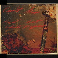 レッド・ホット・チリ・ペッパーズ「 キャント・ストップ　Ｃ／Ｗ　イフ・ユー・ハフ・トゥ・アスク（ライヴ）　クライストチャーチ・ファイアワークス・ミュージック（ライヴ）」