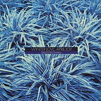 デヴィッド・フリードマン「 ウィンター・ラヴ、エイプリル・ジョイ」