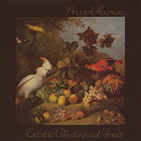 プロコル・ハルム「 異国の鳥と果物　（幻想）」