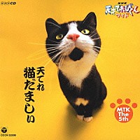 オムニバス ｎｈｋ 天才てれびくんワイド 天てれ猫だましぃ ｍｔｋ ｔｈｅ ５ｔｈ Cocx 308 Shopping Billboard Japan