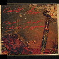 レッド・ホット・チリ・ペッパーズ 「キャント・ストップ　Ｃ／Ｗ　イフ・ユー・ハフ・トゥ・アスク（ライヴ）　クライストチャーチ・ファイアワークス・ミュージック（ライヴ）」