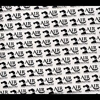 ＡＩＲ「 Ｂｅｓｔ　Ｎｏｔ　Ｂｅｓｔ」