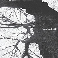 ａｃｉｄ　ａｎｄｒｏｉｄ「 ａｃｉｄ　ａｎｄｒｏｉｄ」