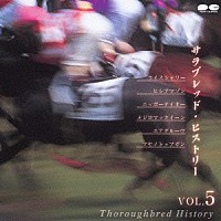 永井美奈子「 サラブレッド・ヒストリー　ＶＯＬ．５」