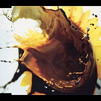 ＴＨＥ　ＢＡＣＫ　ＨＯＲＮ「 光の結晶」