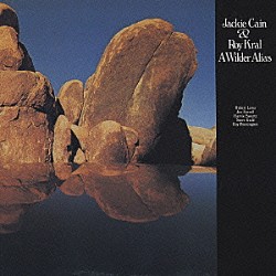 ジャッキー＆ロイ ロイ・クラール ハーヴィー・シュワルツ スティーヴ・ガッド ヒューバート・ロウズ ジョー・ファレル「ア・ワイルダー・アライアス」