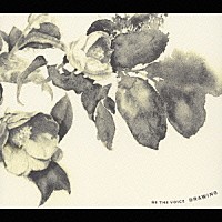 ＢＥ　ＴＨＥ　ＶＯＩＣＥ「 ＤＲＡＷＩＮＧ」